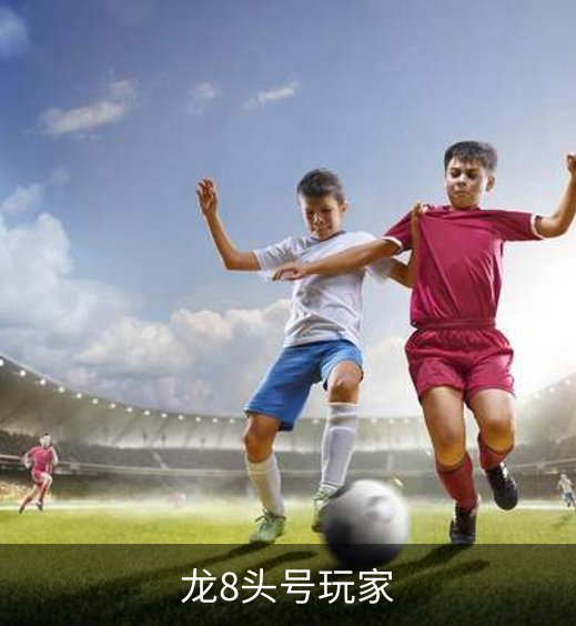 龙8头号玩家品牌故事
